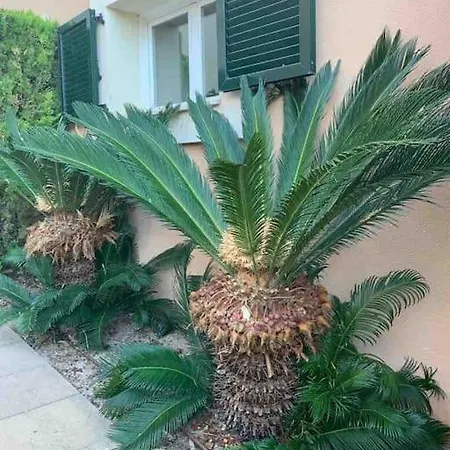 Casa Con Impresionantes Vistas Al Mar Prázdninový dům *