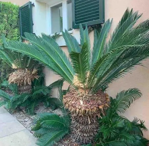 Casa Con Impresionantes Vistas Al Mar Casa de Férias *